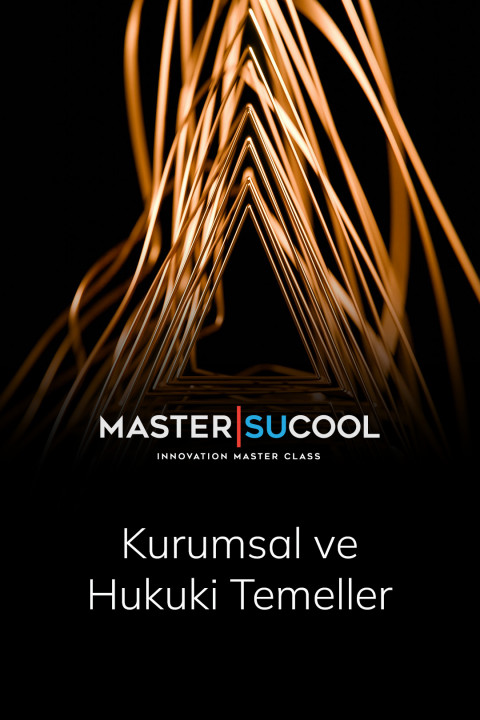 Kurumsal ve Hukuki Temeller